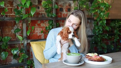 A blonde woman sits in a cafe with a dog. dog friendly establishments. Breed Cavalier King Charles Spaniel