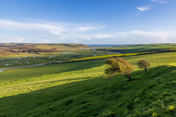 Looking out from a South Downs hillside over the Cuckmere Valley towards the coast, on a sunny...