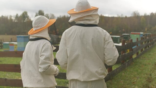 Back view medium shot of two beekeepers in workwear going through wooden gate of small farm garden with several colorful wooden bee hives