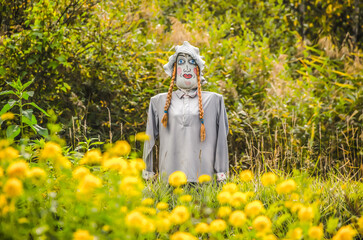 A scarecrow is standing in a field of yellow flowers. The scarecrow is dressed in a gray shirt and has a white hat. The flowers are scattered throughout the field, with some closer to the scarecrow