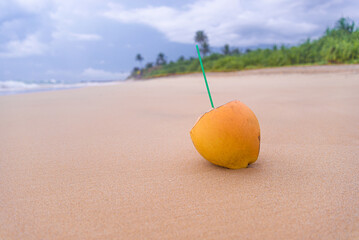 A small, unpeeled coconut sits on the sand at the beach. Concept of relaxation and leisure, as the beach setting and the presence of the coconut suggest a laid-back atmosphere