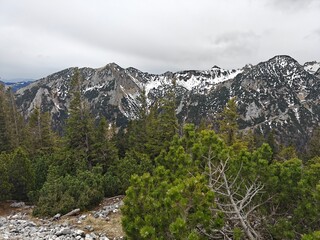 landscape in the mountains