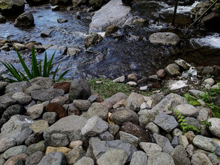 dark moody nature : beautiful natural scenery in the rocky river. Small river flow through the rocky riverside. fresh clear water running through the rocky creek surrounded by tropocal plants.