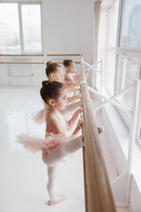 Group of little girls, ballet dancers in tutus practicing, stretching on barre at light dance...