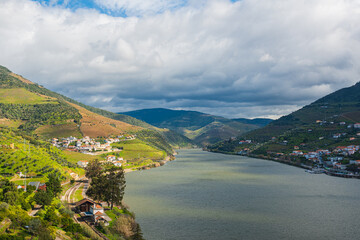 Douro Valley,Portugal.  The Douro Valley is a Portugal's most famous and a historic wine region....