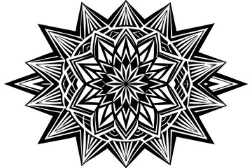 black and white background & abstract-geometric-colorful-digital-floral vector-illustration