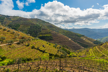 Fototapeta na wymiar Douro Valley,Portugal. The Douro Valley is a Portugal's most famous and a historic wine region. The Douro was registered as a UNESCO World Heritage Site for cultural landscape.