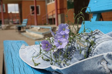 flowers on the table