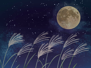 夜空と月とススキ_横