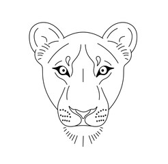 Vector isolated one single lioness puma panther head face portrait muzzle colorless black and white contour line easy drawing