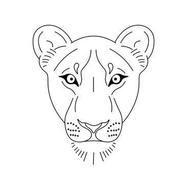 Vector isolated one single lioness puma panther head face portrait muzzle colorless black and white contour line easy drawing