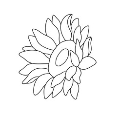 Vector isolated one single sunflower flower blossom  colorless black and white contour line easy drawing