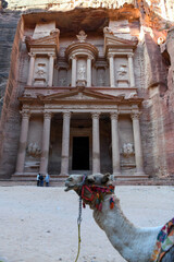 View at the Treasury at Petra in Jordan - 777357671