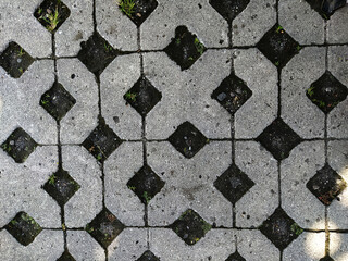rounded side square paving cobble stone applied on public park walkways