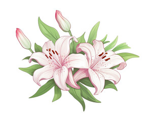 Obraz na płótnie Canvas Lilies flowers remove background , flowers, watercolor, isolated white background