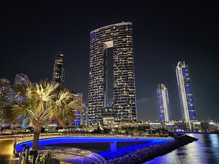 Night Cityscape With Tall Buildings and Palm Trees