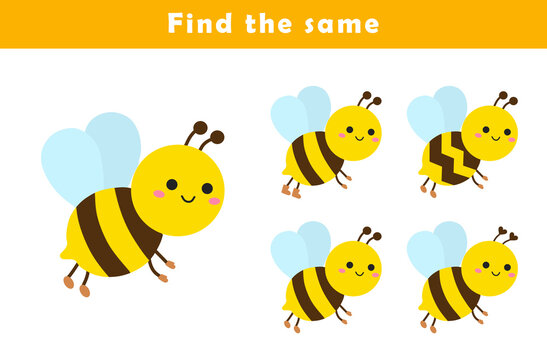 Find same picture worksheet for kids. Worksheet for kids kindergarten, preschool and school age. Education game for children with cute bee illustration.