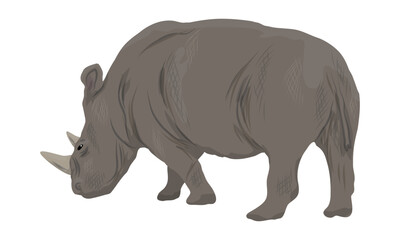 African white rhinoceros. Realistic vector animal
