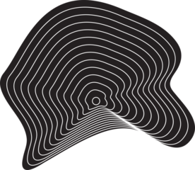 Dynamic amorphous shapes with blend effect. Modern design