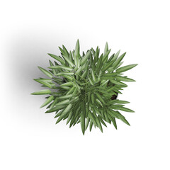 Green plants huge collection of stylized isolated for your illustrations