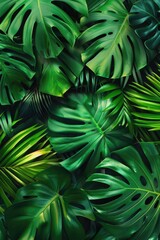 Lush green tropical leaves pattern.