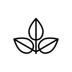 Leaf icon