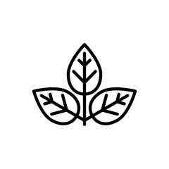 Leaf icon