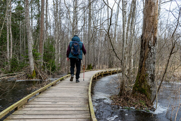 Coastal stand of forest flooded in spring, trail in flooded deciduous forest with wooden footbridge, lone traveler on wooden footpath - Powered by Adobe