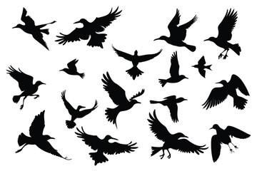 Flying Different Type of Birds silhouette with wings on white background - obrazy, fototapety, plakaty