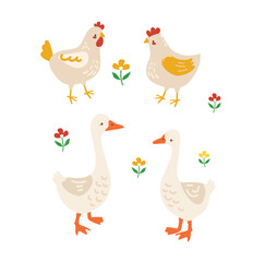 Hand Drawn ?ute chickens and goose cartoon character simple hand drawn vector illustration