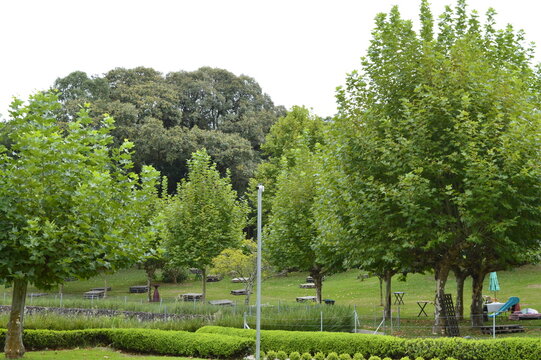 Jardim com área para pic nic