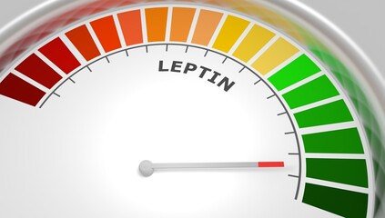 Leptin good level on measure scale. Instrument scale with arrow. Colorful infographic gauge element. The human obesity protein that regulates an appetite by inhibiting hunger. 3D render