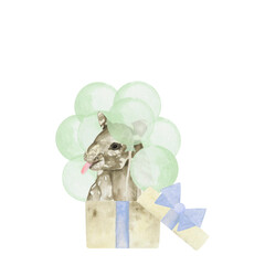 tapir birthday holiday watercolor composition