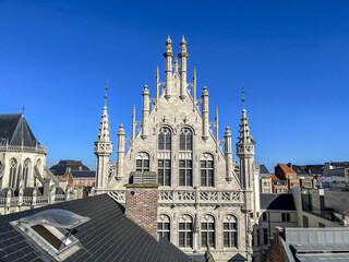 Saint Peter collegiate church and surrounding buildings, Leuwen, Belgium - obrazy, fototapety, plakaty
