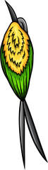 Cute Pennant-tailed hummingbird bird funny cartoon clipart illustration