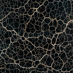 Elegant black marble texture with golden veins
