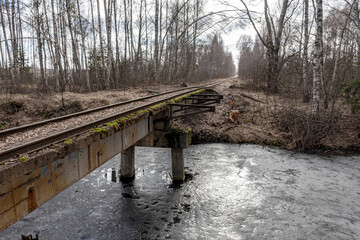 track in the swamp, peat transportation, swamp ditch in spring, beautiful reflections of trees on...