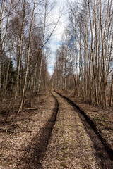 spring landscape with muddy swamp, forest road, spring, dirty wet road texture