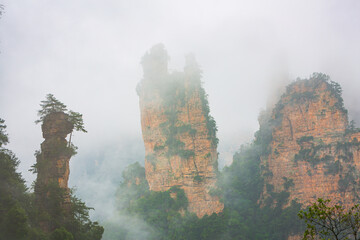 Foggy landscape with eroded irregularly shaped sandstone pinnacles, Zhangjiajie National Forest...