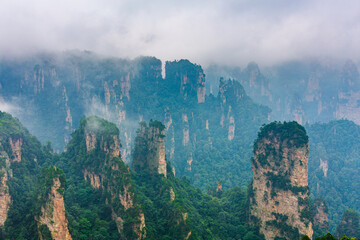 Foggy landscape with eroded irregularly shaped sandstone pinnacles, Zhangjiajie National Forest Park, Hunan province China