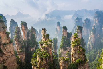 Landscape with eroded irregularly shaped sandstone pinnacles emerging from rising mist, Zhangjiajie...