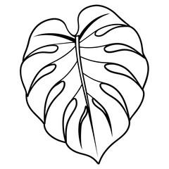 leaf  - vector illustration