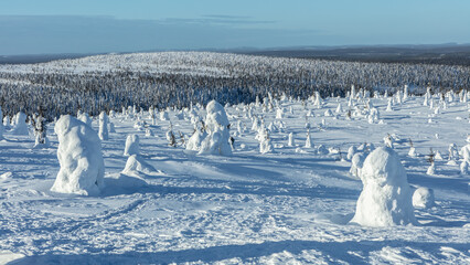 Winter landscape in Riisitunturi National Park (Riisitunturin kansallispuisto), central Finland...