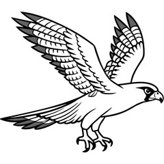 dove - vector illustration