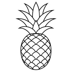 pineapple fruit vector illustration