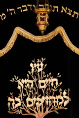 Sacred ark (Aron Ha-Kodech ) curtain in a Paris synagogue, France - obrazy, fototapety, plakaty