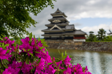 Defocussed Japanese castle behind colorful springtime flowers - obrazy, fototapety, plakaty