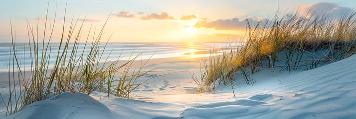 Foto op Plexiglas Sonnenaufgang über der Nordsee, Ostsee. Landschaft mit Dünnen und Gräser. © shokokoart