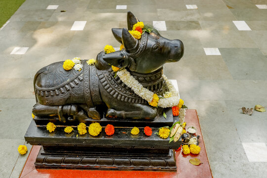 Shree Mukteshwar Devalaya temple, Juhu, Mumbai, India..Nandi bull murthi (statue) with garland and flower and food offerings