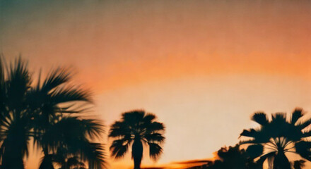 Fototapeta na wymiar palm trees sunset